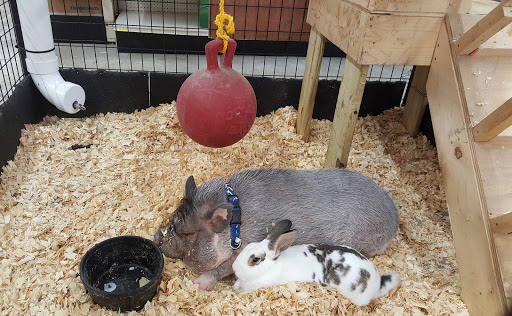 Hardware Store «Buchheit of Sparta», reviews and photos, 1817 N Market St, Sparta, IL 62286, USA