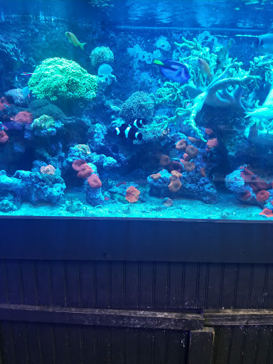 Tropical Fish Store «Aquatic Obsessions», reviews and photos, 1150 St George Ave, Avenel, NJ 07001, USA