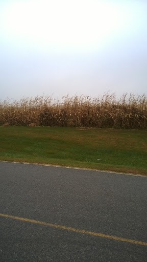 Golf «Diamond Trail Golf Club», reviews and photos, 9364 E 146th St S, Lynnville, IA 50153, USA