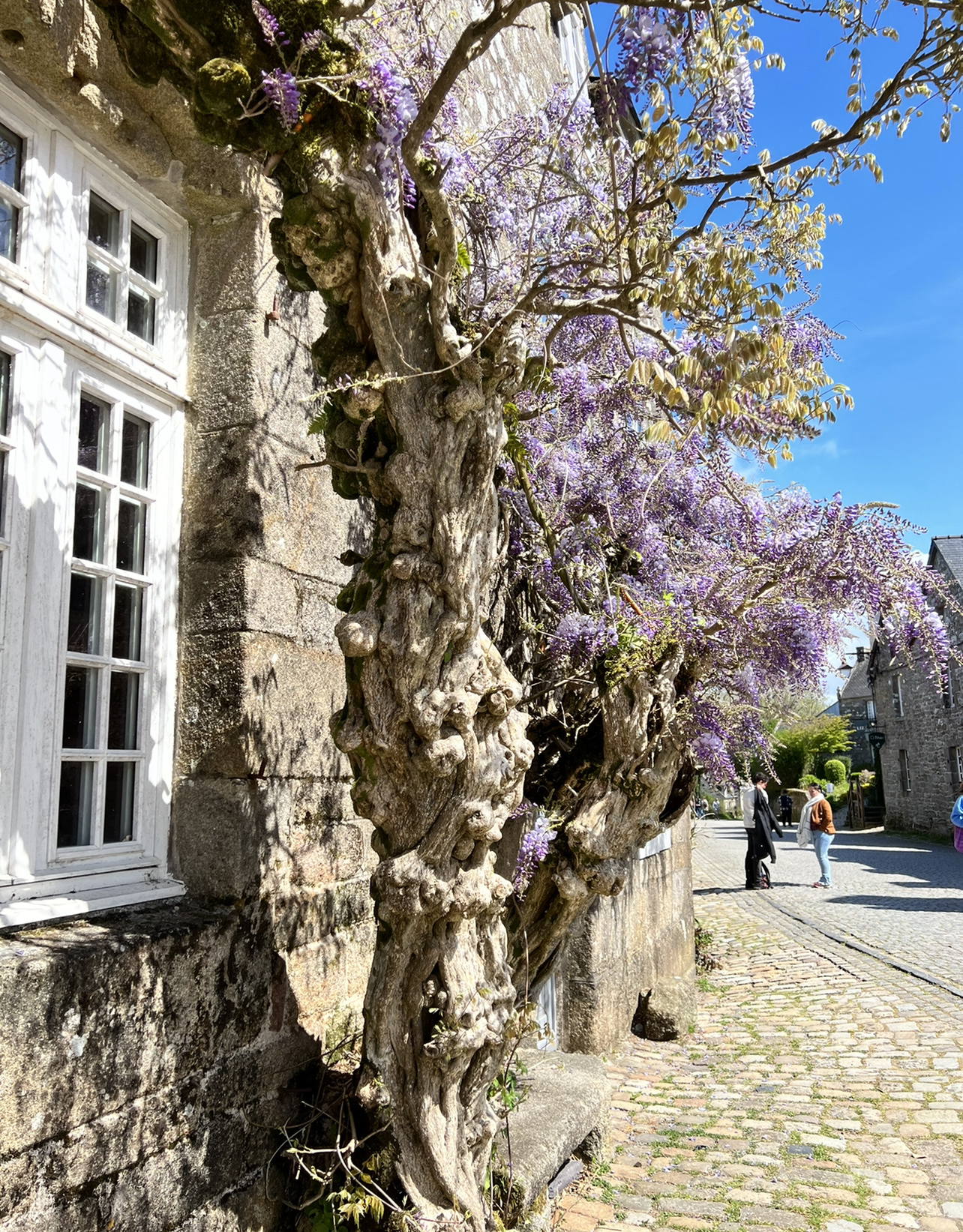 Photo n° 2 de l'avis de Thiro.h fait le 19/04/2022 à 16:49