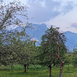 Photo n°1 de l'avis de Alexander.o fait le 31/05/2023 à 07:51 sur le  Pension Berghof à Brannenburg