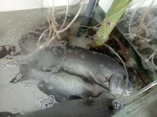 Top 20 cửa hàng hải sản Huyện Cẩm Xuyên Hà Tĩnh 2022