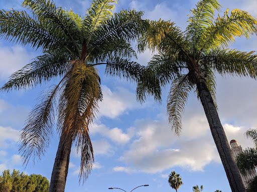 Park «La Cienega Park», reviews and photos, 8400 Gregory Way, Beverly Hills, CA 90211, USA