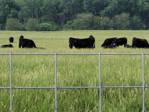 Nature Preserve «Midewin National Tallgrass Prairie», reviews and photos, 30239 S. State Route 53, Wilmington, IL 60481, USA
