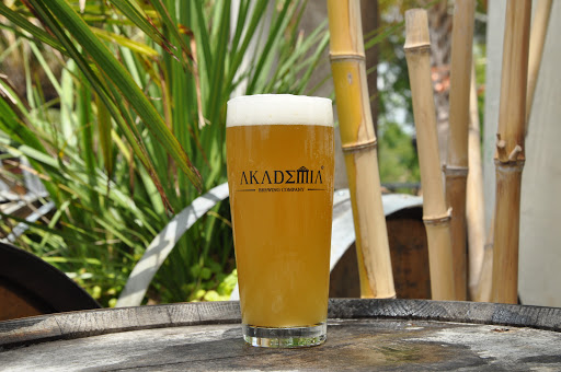 Akademia Brewing Company