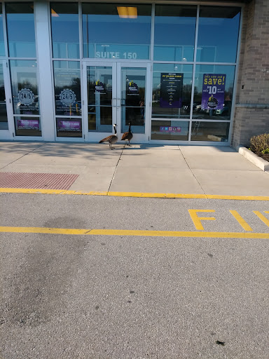 Gym «Planet Fitness», reviews and photos, 2437 E Main St #150, Plainfield, IN 46168, USA