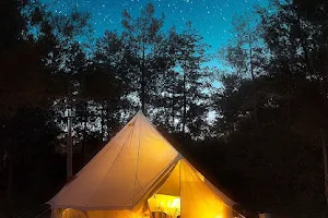 Forest Days Glamping image