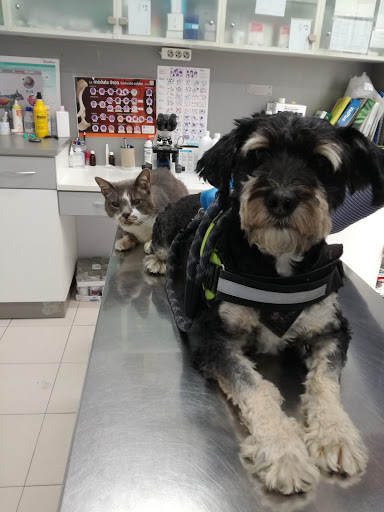 San Francisco Clínica Veterinaria en Castro Urdiales