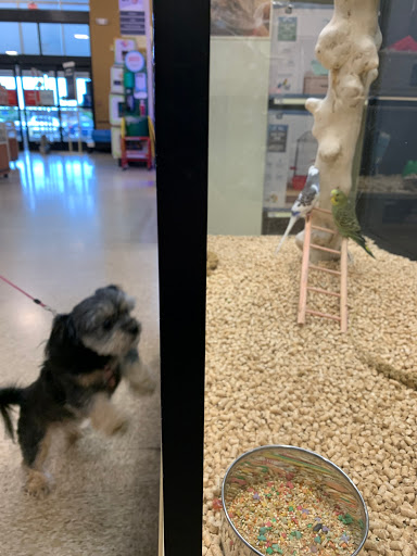 Pet Supply Store «PetSmart», reviews and photos, 5591 TN-153, Hixson, TN 37343, USA
