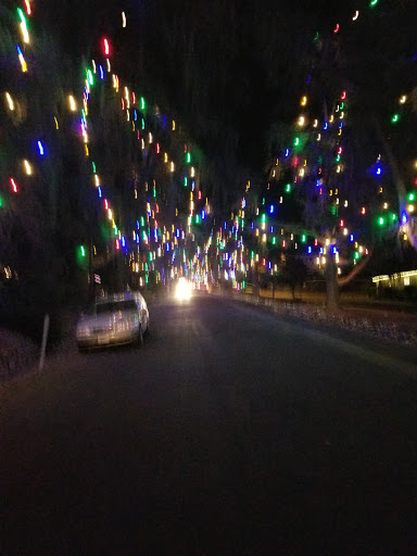 Tourist Attraction «Christmas Tree Lane», reviews and photos, Santa Rosa Ave, Altadena, CA 91001, USA