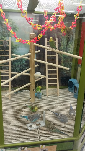 Pet Supply Store «Petco Animal Supplies», reviews and photos, 10060 US Highway 40 G-150, Ellicott City, MD 21042, USA