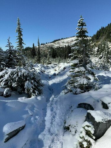 Skyline Trail