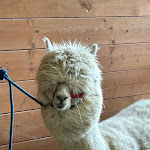 Photo n°2 de l'avis de beatrice.t fait le 23/04/2024 à 09:29 sur le  Agriturismo Scuderia Della Valle à Sant'Omobono Terme