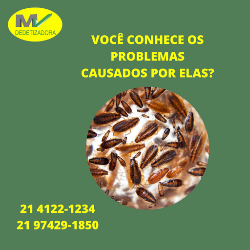 Logo da empresa - MV Dedetizadora