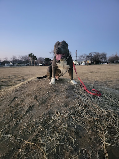 Park «Arnold Park», reviews and photos, 1011 Gillette Blvd, San Antonio, TX 78224, USA