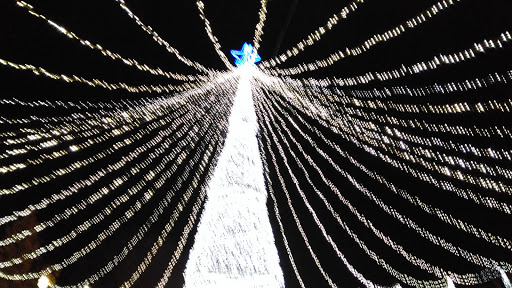 Discoteca Bambú Club  