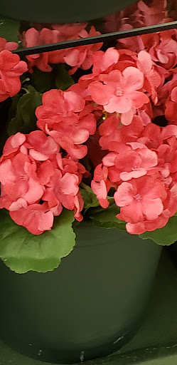 Craft Store «Michaels», reviews and photos, 10788 E Foothill Blvd #103, Rancho Cucamonga, CA 91730, USA