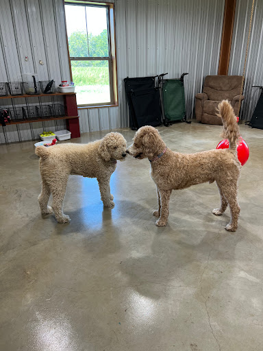 The Barking Barn LLC