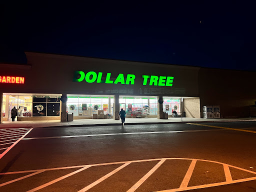 Dollar Store «Dollar Tree», reviews and photos, 109 Northside Commons, Palmyra, PA 17078, USA