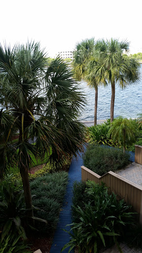 Hotel «Grove Isle Hotel & Spa», reviews and photos, 4 Grove Isle Dr, Miami, FL 33133, USA