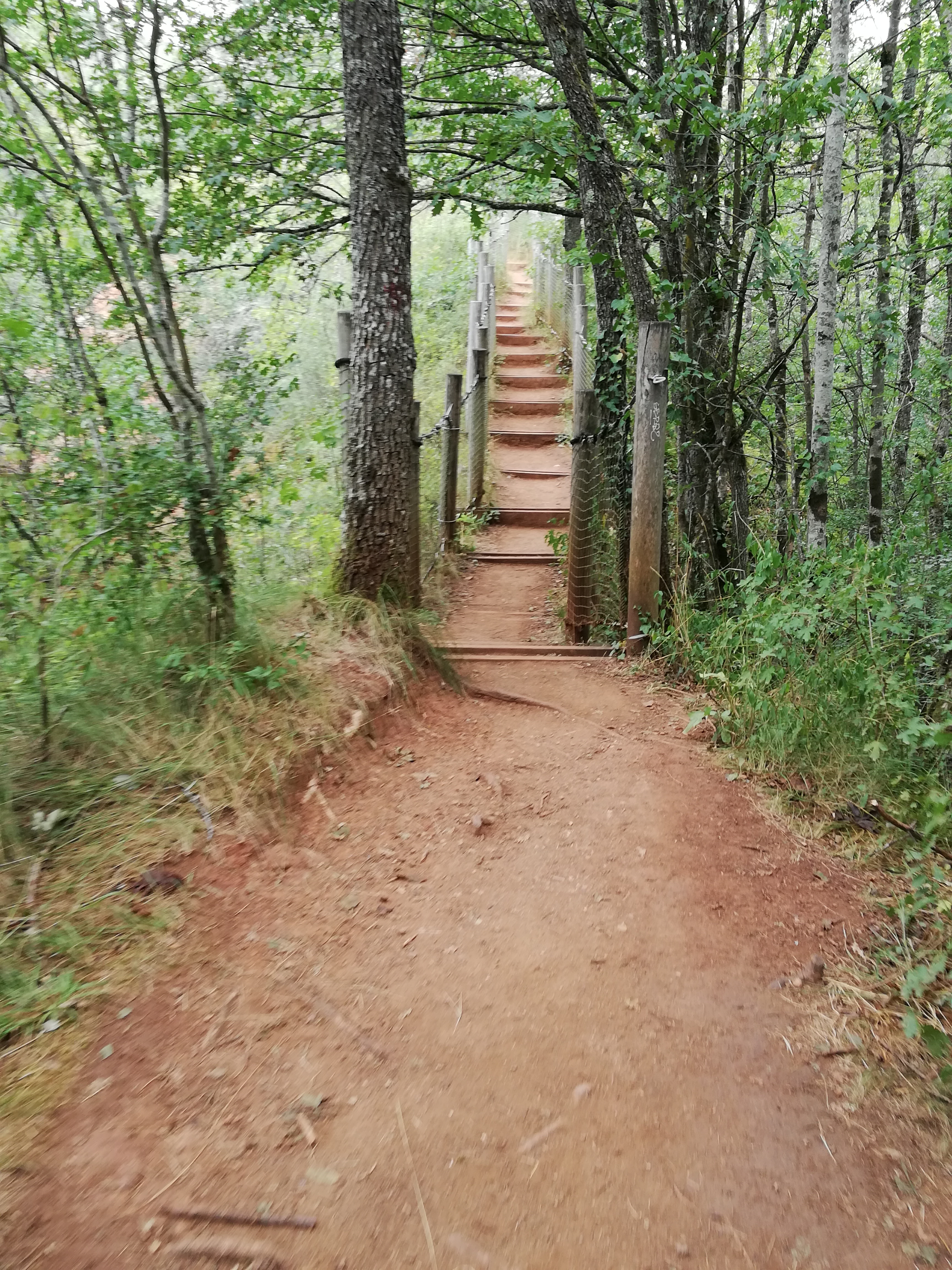 Photo n° 9 de l'avis de Julien.e fait le 17/08/2020 à 07:42
