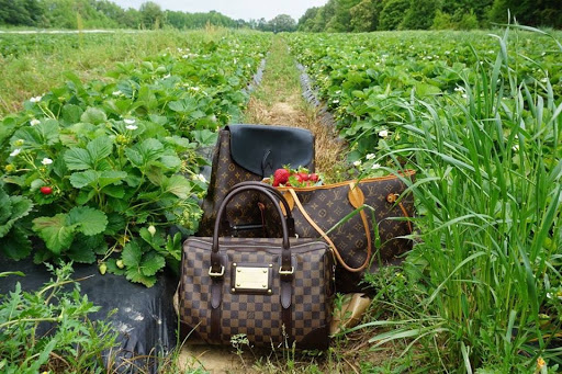 Pawn Shop «Braswell & Son Pawnbrokers», reviews and photos, 9101 W Markham St, Little Rock, AR 72205, USA