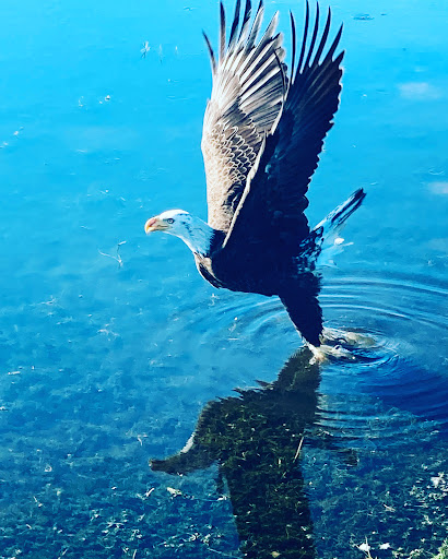 Golf Club «Chi Chi Rodriguez Golf Club», reviews and photos, 3030 N McMullen Booth Rd, Clearwater, FL 33761, USA