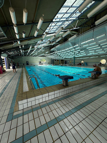 Piscine Municipale Les Dauphins du parc à Voiron