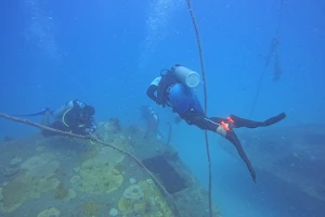Ombak Divers image