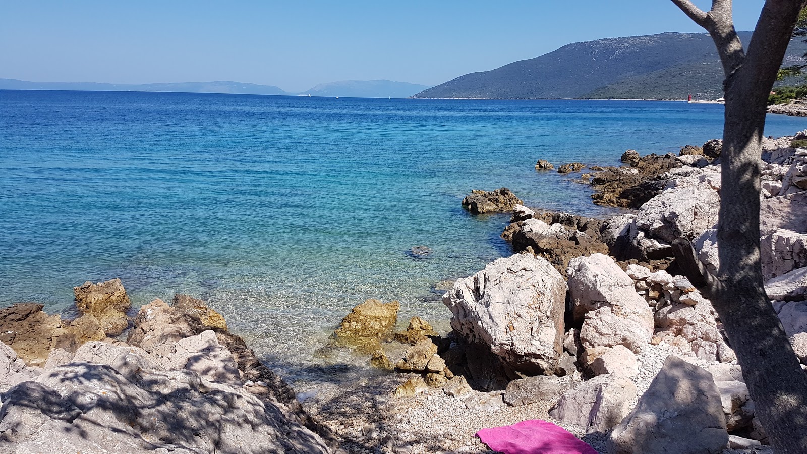 Foto av Divlja beach med stenar yta