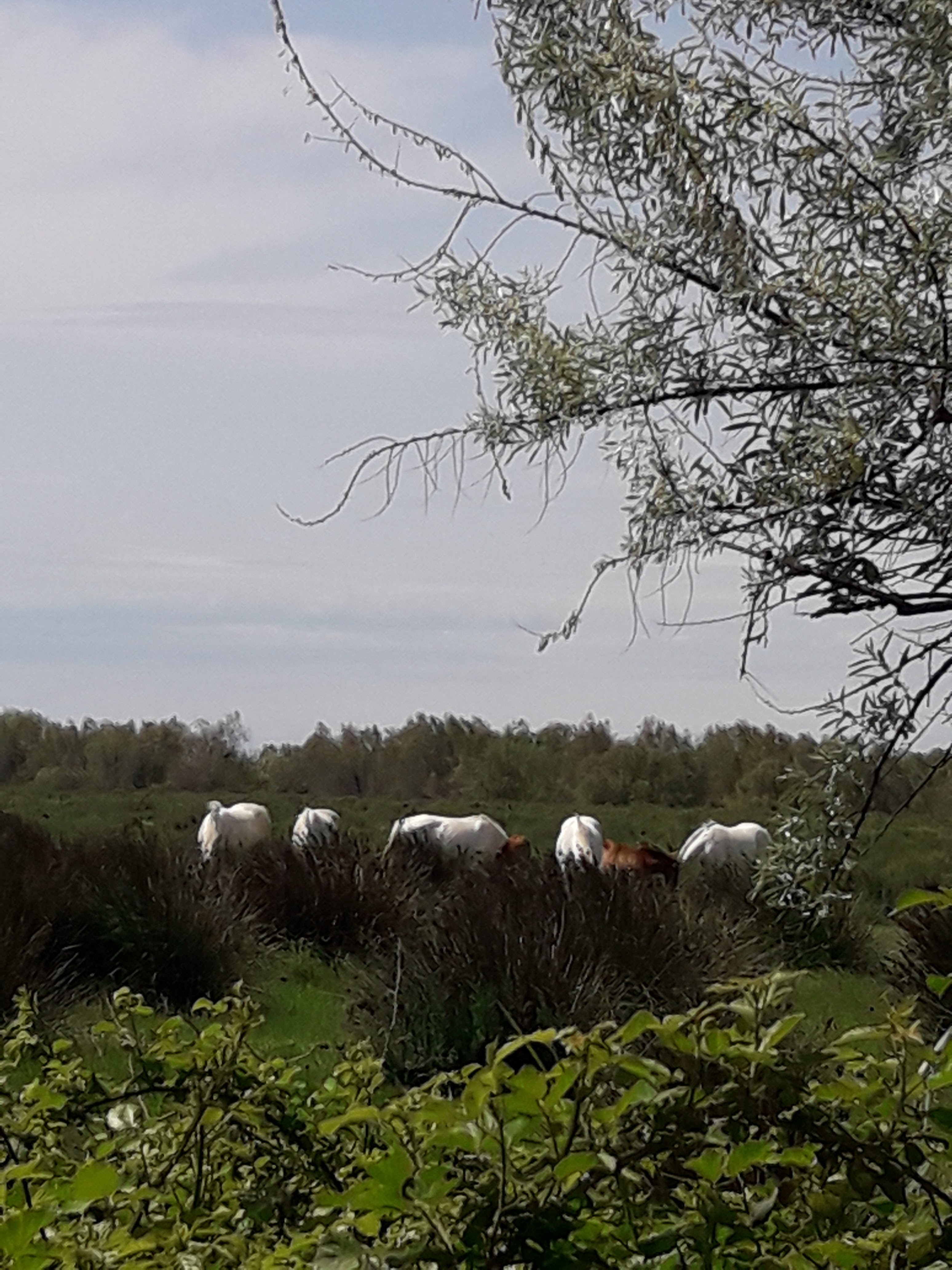 Photo n° 3 de l'avis de Mireille.o fait le 07/05/2018 à 14:34