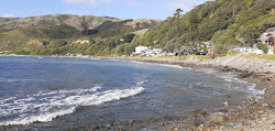 Photo de Pukerua Bay Beach zone sauvage