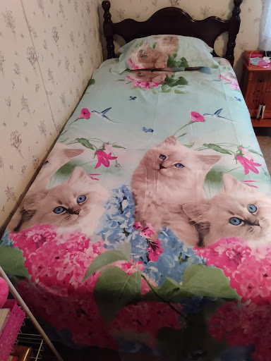 Home Goods Store «Dollar General», reviews and photos, 2649 Main St, Whitney Point, NY 13862, USA