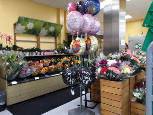 Pharmacy «Publix Pharmacy at Hallandale Place Shopping Center», reviews and photos, 1400 E Hallandale Beach Blvd, Hallandale Beach, FL 33009, USA