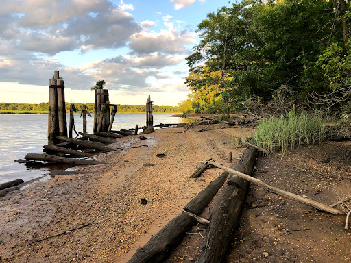 Nature Preserve «Maurice River Bluffs Preserve», reviews and photos, Silver Run Rd, Millville, NJ 08332, USA