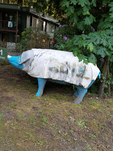 Nature Preserve «Gazzam Lake Nature Preserve», reviews and photos, 6105 NE Marshall Rd, Bainbridge Island, WA 98110, USA