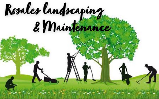 Rosales Landscaping & Maintenance