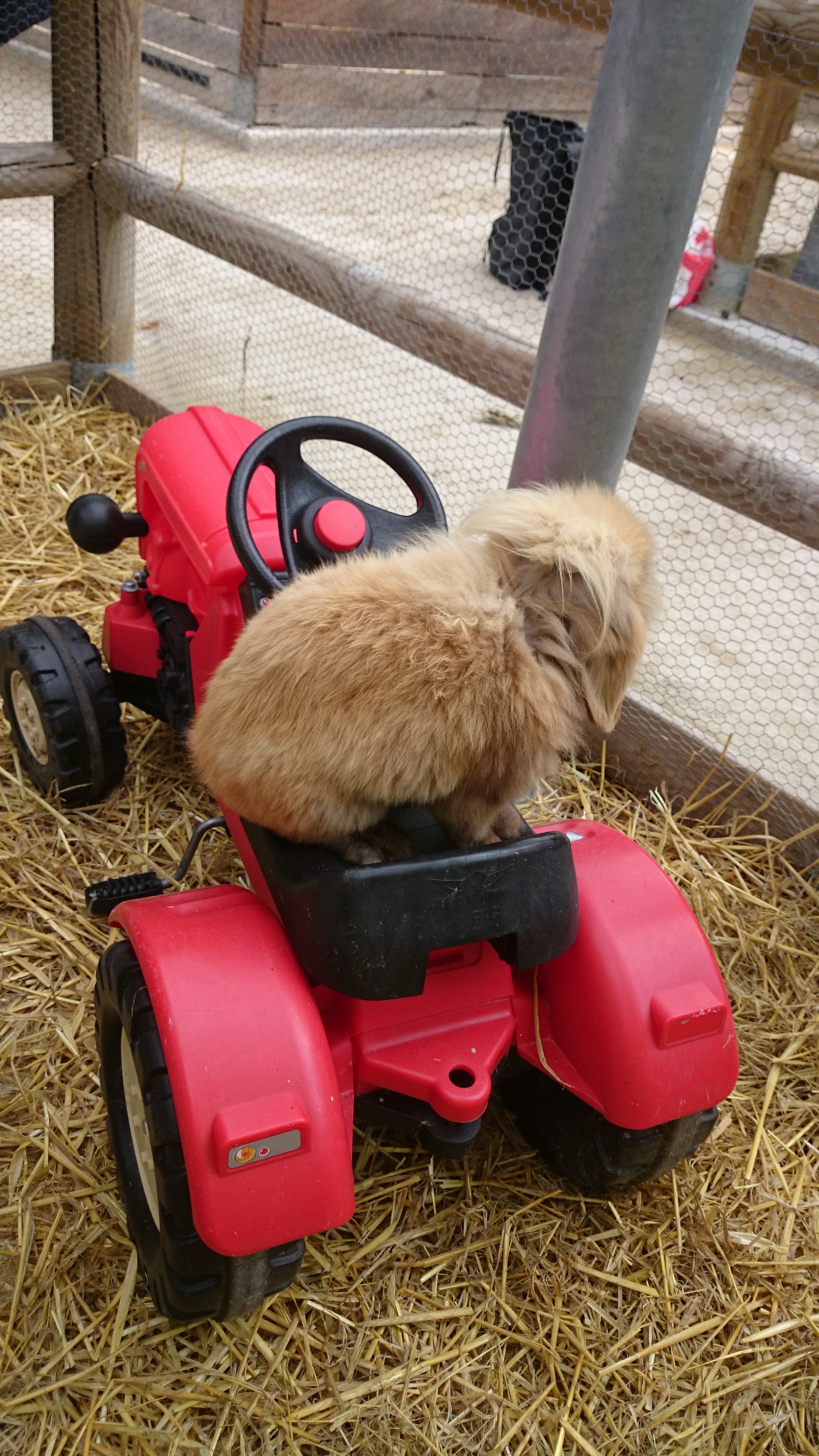 Photo n° 1 de l'avis de Fernando.i fait le 17/05/2018 à 10:13