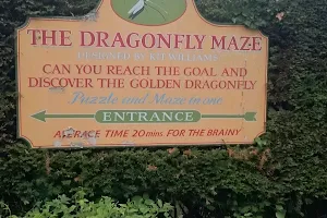 The Dragonfly Maze image