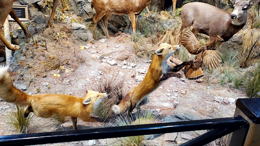 Outdoor Sports Store «Field & Stream», reviews and photos, 520 Clock Tower Way, Crescent Springs, KY 41017, USA