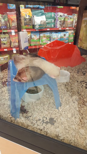 Pet Supply Store «Petco Animal Supplies», reviews and photos, 313 Homer M Adams Pkwy, Alton, IL 62002, USA