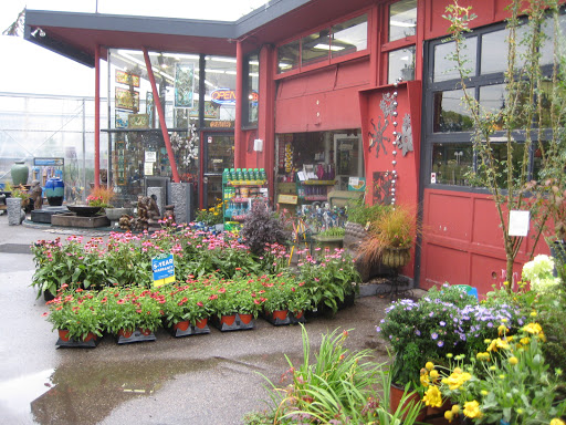 Plantation Garden Centre