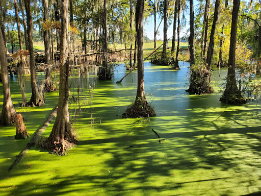 Golf Course «Capitol Hill Golf», reviews and photos, 2600 Constitution Ave, Prattville, AL 36066, USA