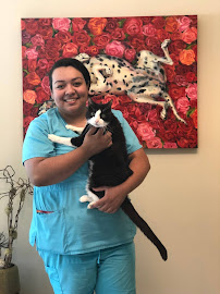Arlington Heights Animal Hospital - Photo 9 - Car repair in Fort Worth, TX, Fort Worth
