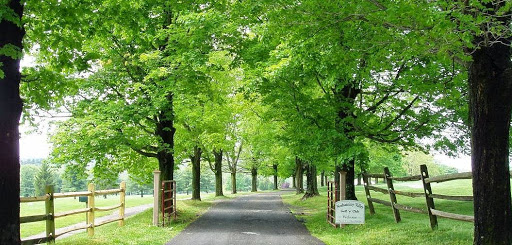Public Golf Course «Neshaminy Valley Golf Club - OPEN to PUBLIC», reviews and photos, 440 Almshouse Rd, Richboro, PA 18954, USA