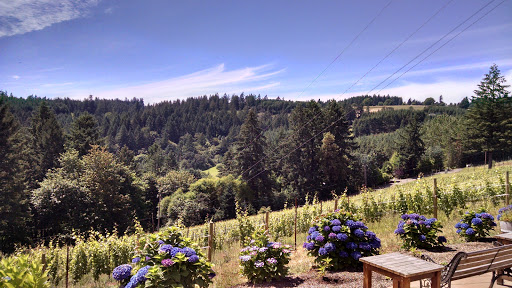 Winery «Beckham Estate Vineyard», reviews and photos, 30790 SW Heater Rd, Sherwood, OR 97140, USA