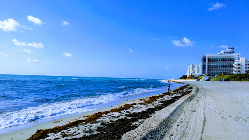 Beach Resort «The Miami Beach Resort & Spa», reviews and photos, 4833 Collins Ave, Miami Beach, FL 33140, USA