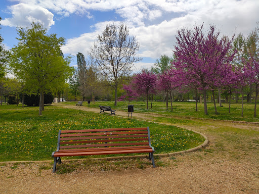 Parques para hacer picnic en Salamanca