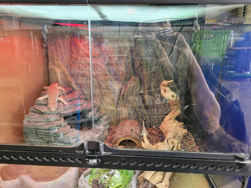 Pet Supply Store «Paw Shoppe Pet Center», reviews and photos, 6416 E Spring St, Long Beach, CA 90815, USA