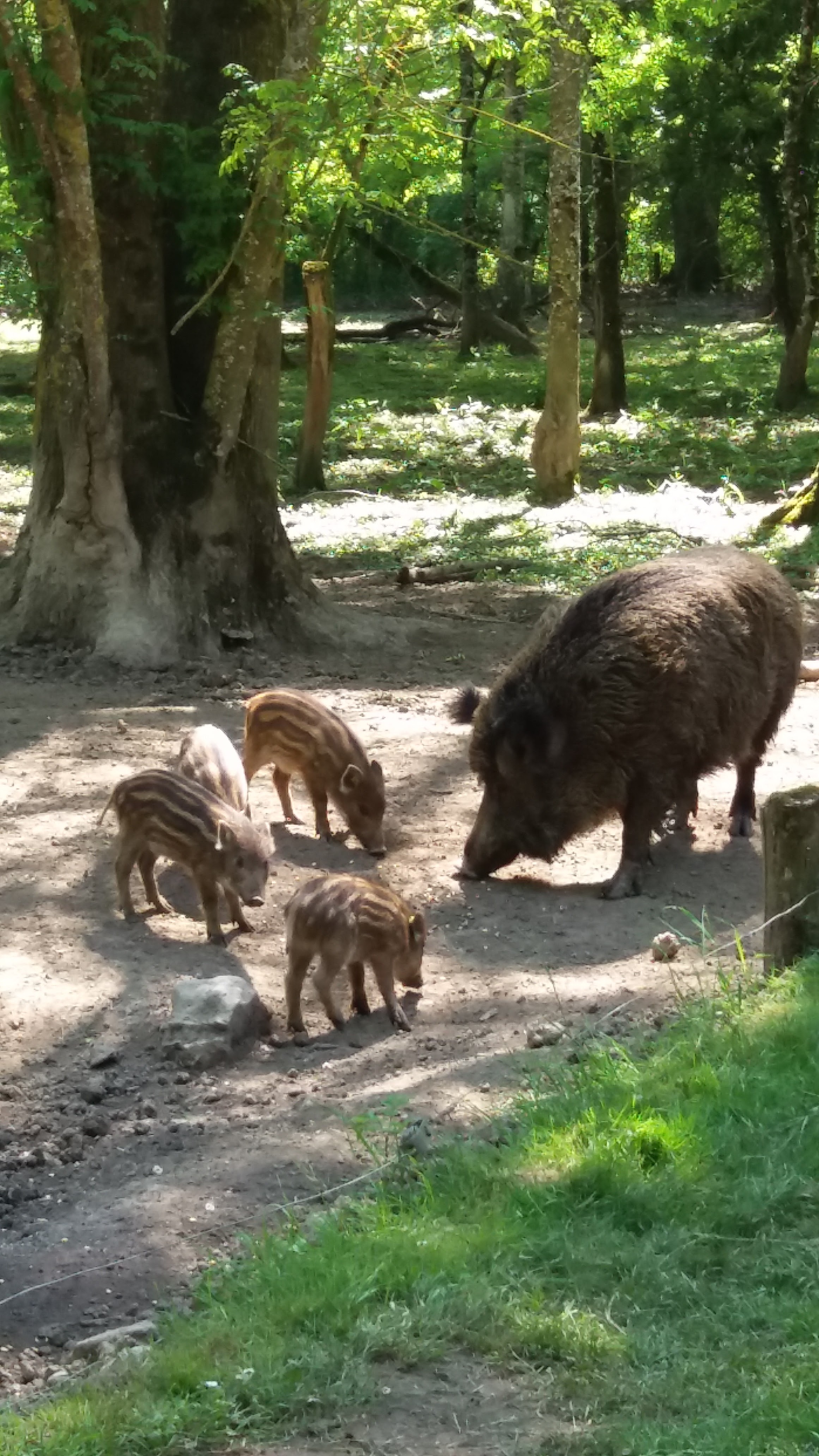 Photo n° 3 de l'avis de Yveline.r fait le 04/05/2018 à 16:08